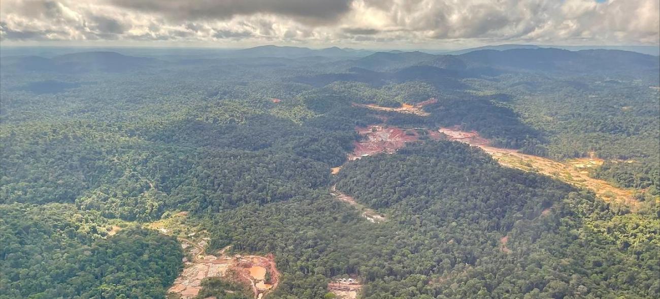 Image of Suriname's green forests